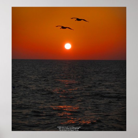 Pier 60 Clearwater, FL Sunset Poster (Voorkant)