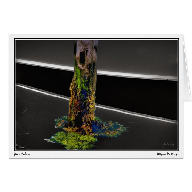 Pier Colors (Voorkant Horizontaal)