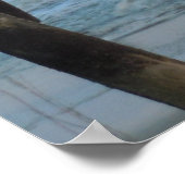 Pier en golven = Oak Island, NC Poster (Hoek)