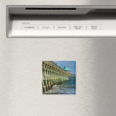 Pier Gevist Magneet (Insitu (Vaatwasser))