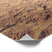 Pier op het strand van Hermosa Poster (Hoek)