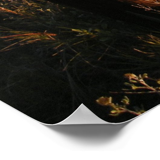 Pier Posts Poster (Hoek)