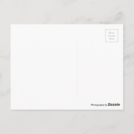 Pier van Birnbeck en het eiland Weston-super-Mare Briefkaart (Achterkant)