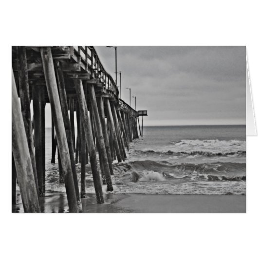 Pier van Shirley Taylor (Voorkant Horizontaal)