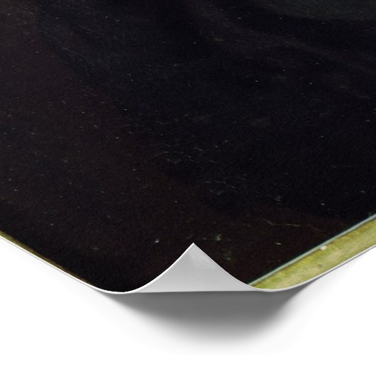 Pierre Fermat Poster (Hoek)