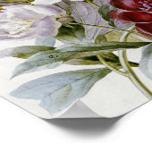 Pierre Joseph Redoute - A Bouquet Peonies Poster (Hoek)