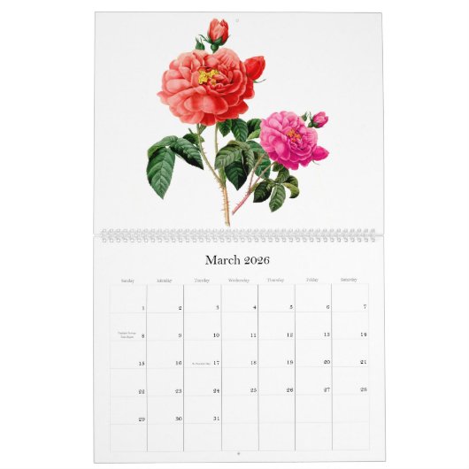 Pierre-Joseph Redouté Botanische Kunst Kalender (Mar 2026)