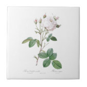PIERRE-JOSEPH REDOUTÉ "CABBAGE ROOS" CERAMIC TEGEL TEGELTJE (Voorkant)