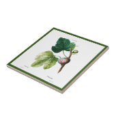 PIERRE-JOSEPH REDOUTÉ "FIGS" CERAMIC TEGEL TEGELTJE (Zijkant)