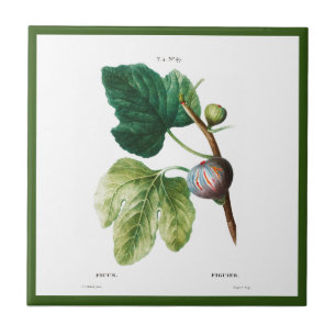 PIERRE-JOSEPH REDOUTÉ "FIGS" CERAMIC TILE TEGELTJE