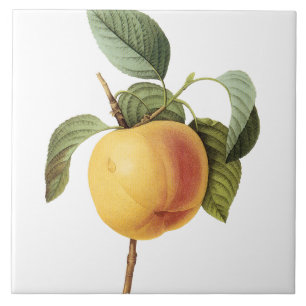 Pierre-Joseph Redouté groot perzikenschilderen Tegeltje