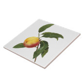 Pierre-Joseph Redouté Perzikschilderstapel Tegeltje (Zijkant)