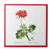 PIERRE-JOSEPH REDOUTÉ "RED GERANIUM" CERAMIC-TEGEL TEGELTJE (Voorkant)