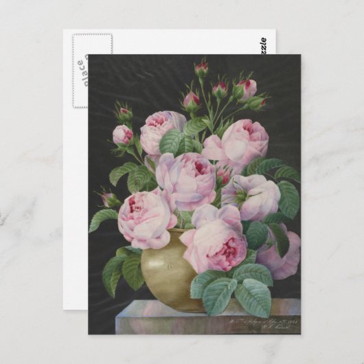 Pierre Joseph Redoute - roze rozen in een vaas Briefkaart (Voorkant / Achterkant)
