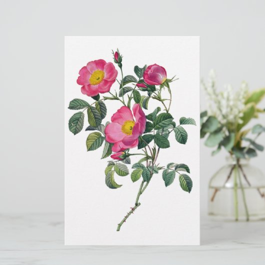 Pierre Joseph Redoute Rozen Briefpapier (Staand voorkant)