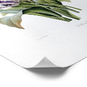 Pierre Joseph Redoute - Tulips Poster (Hoek)