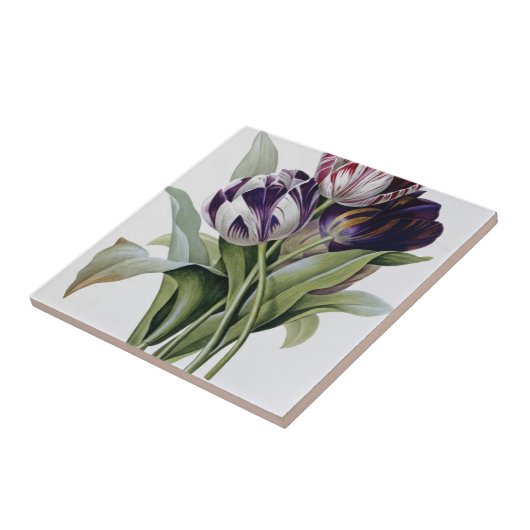 Pierre Joseph Redoute - Tulips Tegeltje (Zijkant)