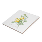 PIERRE-JOSEPH REDOUTÉ "YELLOW ROSE" CERAMIC TEGEL TEGELTJE (Zijkant)