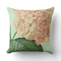 Pierre Redoute Hydrangea Flower