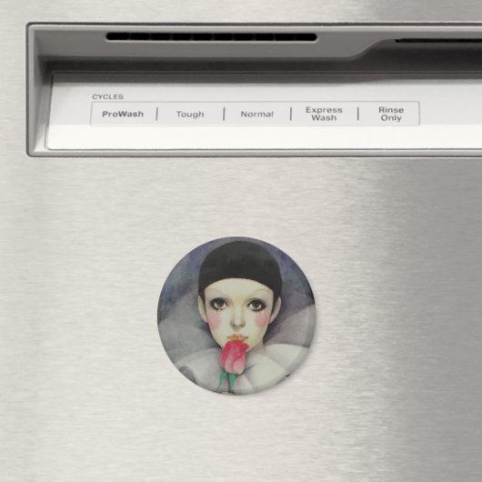 Pierrot 1980 magneet (Insitu (Vaatwasser))