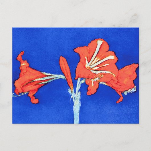 Piet Mondrian - Amaryllis Fine Art Flower Painting Briefkaart (Voorkant)