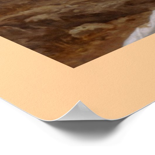 Pieta van Bouguereau Poster (Hoek)