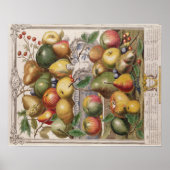 Pieter Casteels, twaalf maanden fruit" januari Poster (Voorkant)
