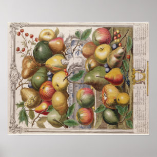 Pieter Casteels, twaalf maanden fruit" januari Poster
