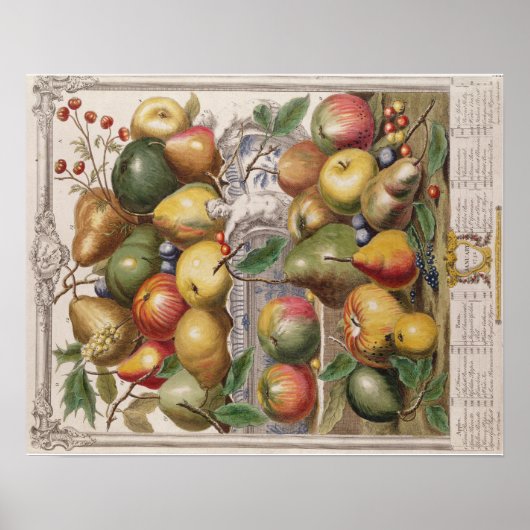 Pieter Casteels, twaalf maanden fruit" januari Poster (Voorkant)