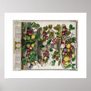 Pieter Casteels, twaalf maanden fruit, juni Poster