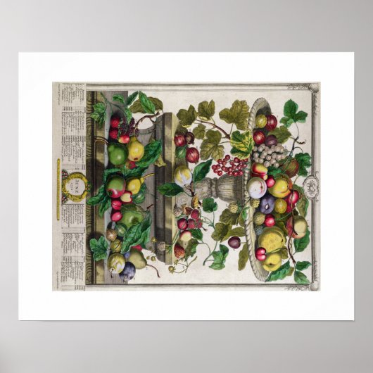 Pieter Casteels, twaalf maanden fruit, juni Poster (Voorkant)