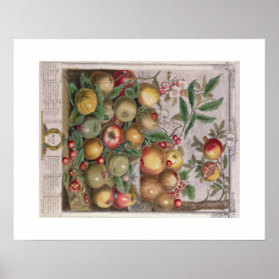 Pieter Casteels, twaalf maanden fruit, mei Poster