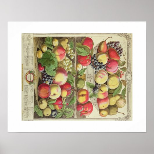 Pieter Casteels, twaalf maanden fruit september Poster (Voorkant)