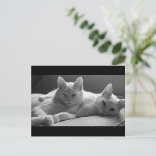 Piff en Puff Briefkaart (Staand voorkant)