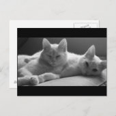 Piff en Puff Briefkaart (Voorkant / Achterkant)