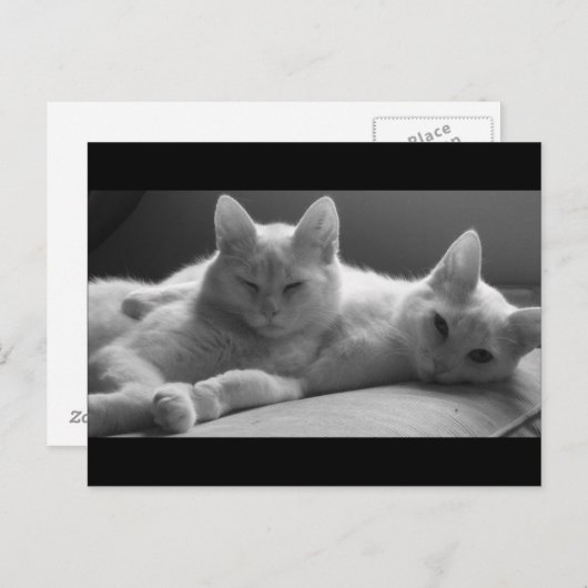 Piff en Puff Briefkaart (Voorkant / Achterkant)