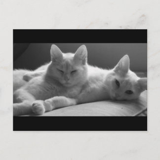 Piff en Puff Briefkaart