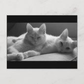 Piff en Puff Briefkaart (Voorkant)