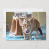 Pig and Cake verjaardagsuitnodiging Kaart (Achterkant)