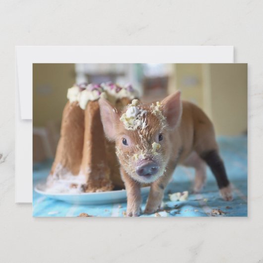 Pig and Cake verjaardagsuitnodiging Kaart (Achterkant)