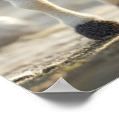 Pig and His Steed: De reis van de grillen Poster (Hoek)