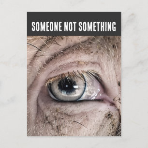 PIG Ansichtkaart, IEMAND NIET iets Briefkaart