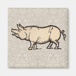 Pig Antiek Piggy Cute  Magneet