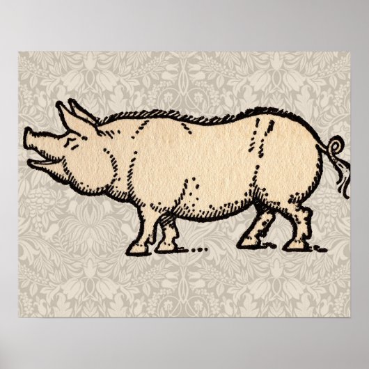 Pig Antiek Piggy Cute  Poster (Voorkant)