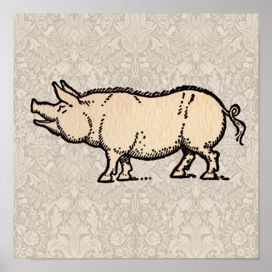 Pig Antiek Piggy Cute  Poster (Voorkant)