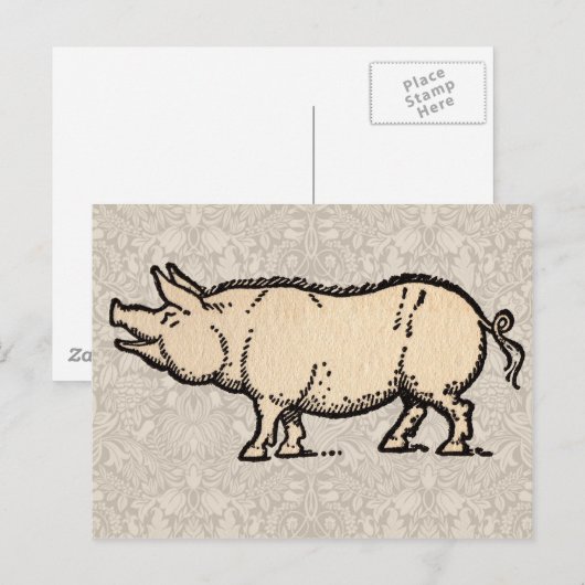 Pig Antiek Piggy Schattige  Illustratie Briefkaart (Voorkant / Achterkant)