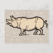 Pig Antiek Piggy Schattige  Illustratie Briefkaart (Voorkant)