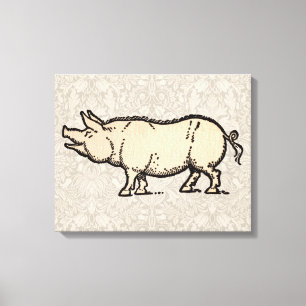 Pig Antiek Piggy Schattige  Illustratie Canvas Afdruk