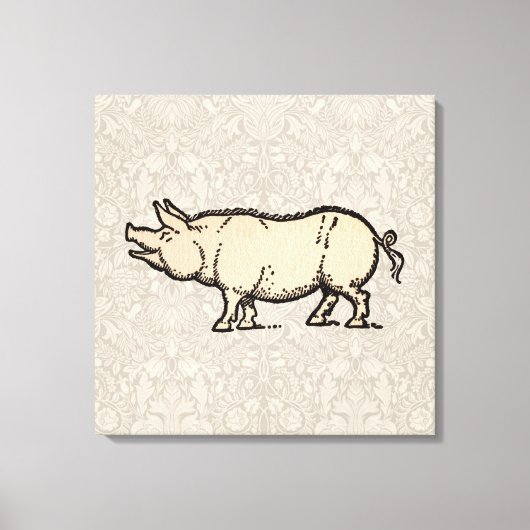 Pig Antiek Piggy Schattige Illustratie Canvas Afdruk (Voorkant)