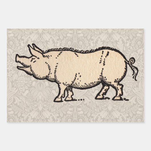 Pig Antiek Piggy Schattige  Illustratie Inpakpapier Vel (Voorkant)